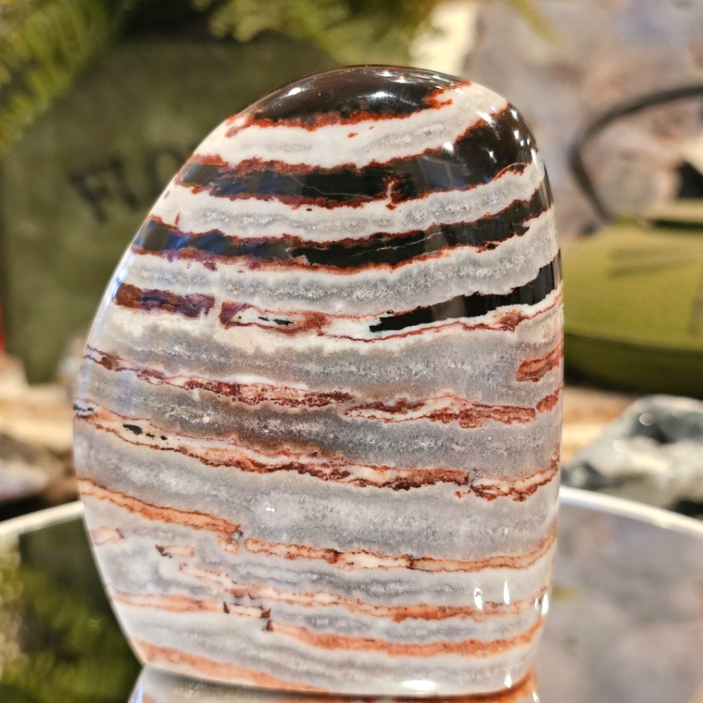 Stunning Zebra Jasper Freeform